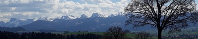 Zeige Bild