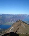 Zeige Bild