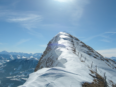 Zeige Bild
