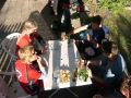 Zeige Bild
