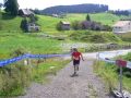 Zeige Bild