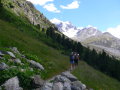 Zeige Bild