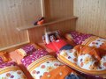 Zeige Bild