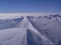 Zeige Bild