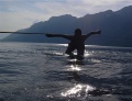 Zeige Bild