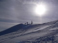 Zeige Bild