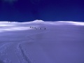 Zeige Bild