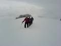Zeige Bild