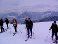 Zeige Bild