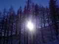 Zeige Bild