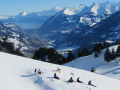 Zeige Bild