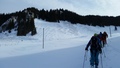 Zeige Bild