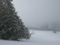 oberhalb Mittelberg