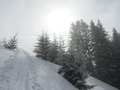 oberhalb Mittelberg