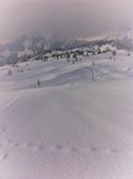 Zeige Bild