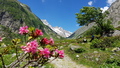 Im Voralptal