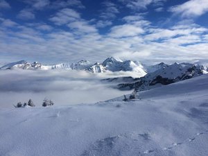 Dem Nebel entflohen