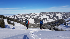 Zeige Bild
