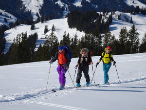 Aufstieg oberhalb der Waldgrenze