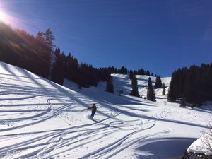 Da schlägt das Türelerherz höher!