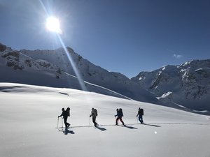 Zeige Bild