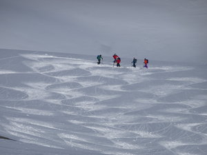 Zeige Bild