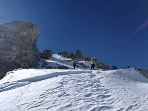 Tierhörli in Sichtnähe