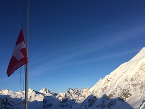 Zeige Bild