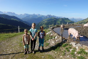 Zeige Bild