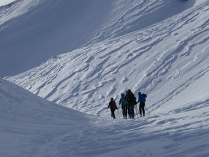 Plang Tguils