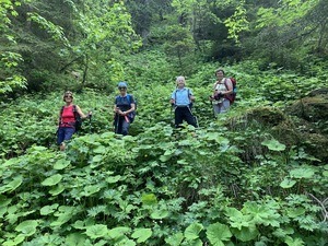 Wanderladys