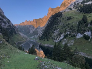 Zeige Bild