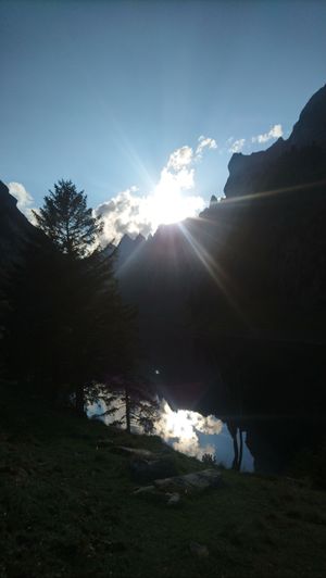 Zeige Bild