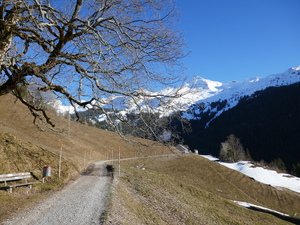 Aus dem frühlingshaften Niederrickenbach Blick zurück