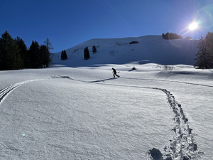 Feldlinien ablatschen