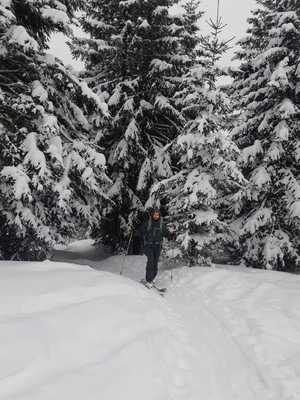 Tief verschneite Winterlandschaft