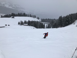 Zeige Bild
