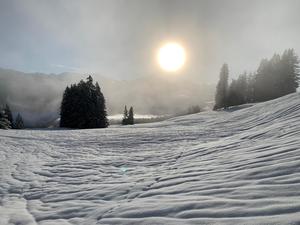 Morgenstimmung