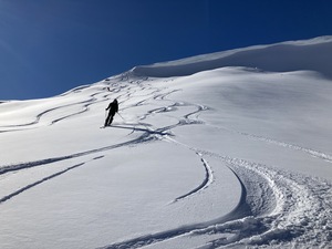 Zeige Bild