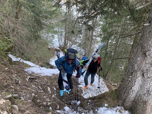 Morgengymnastik im steilen Bergwald