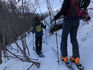 Morgengymnastik im steilen Bergwald