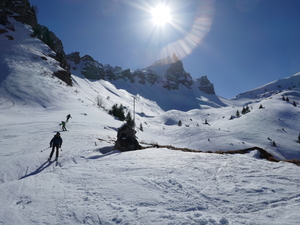 Alp Seron