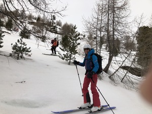 eine gute fahrbahre Waldpartie gehört zu unserer Abfahrtsroute