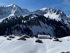 Mitmischt Morgete