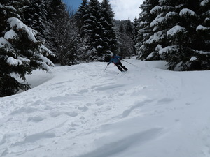 Zeige Bild