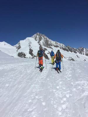Grünhornlücke mit Finsteraarhorn