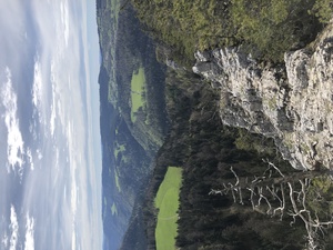 Zeige Bild