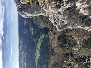 Zeige Bild