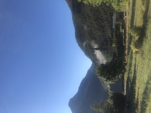 Zeige Bild