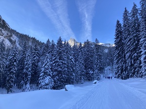 Start bei eisigen Temperaturen